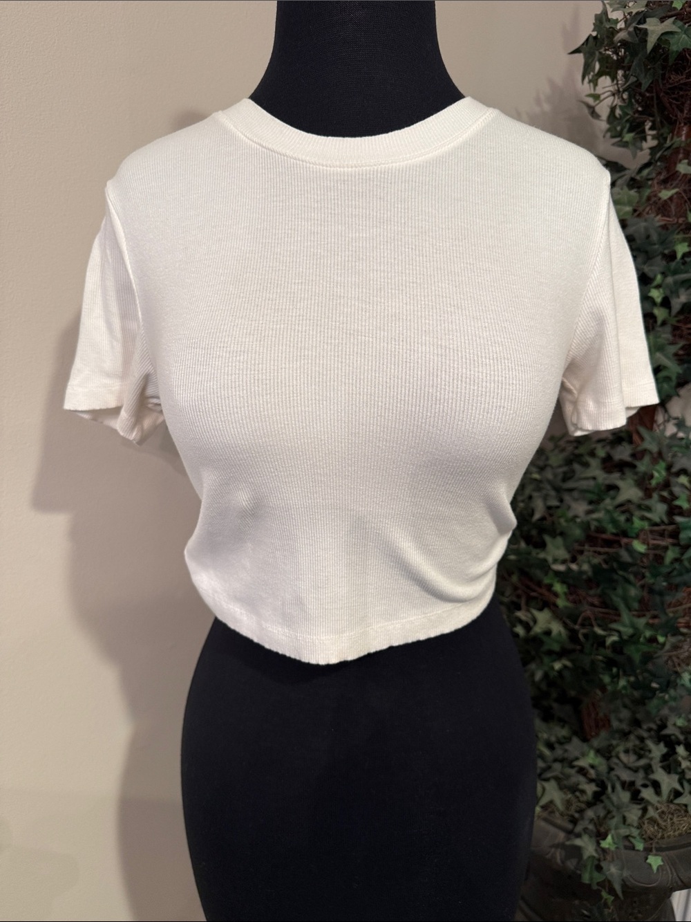 White Ribbed Crop Tee - Women's Casual Short Sleeve Top size medium